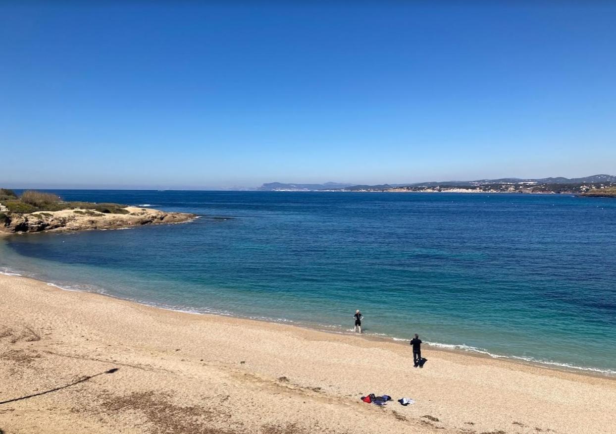 Apartament Sea-View - Wifi - Parking Six-Fours-les-Plages Zewnętrze zdjęcie